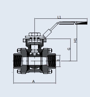 Sanitary Stainless Steel SS304/SS316L Hygienic Non-Retention 3PCS Ball Valve &Globe Valve